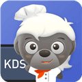二维火kds系统