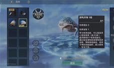 妄想山海鲲怎么第二次进化 进化方法介绍