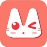 猫漫