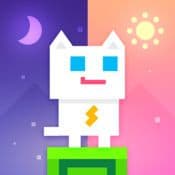 幻影猫