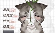 灵猫传狸怂怂怎么样 灵猫属性攻略