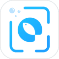 问鱼app