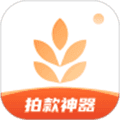 我拍衣