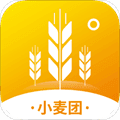 小麦团app