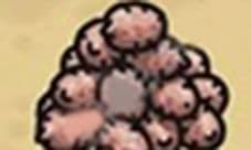 黑暗料理王花生攻略 花生出处怪物及菜谱配方