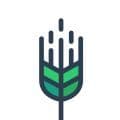 青稞app