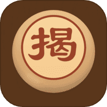 象棋揭棋