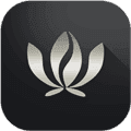 大茶肆APP