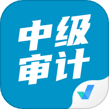 中级审计师考试聚题库