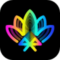 宝莲灯pro安卓版下载_宝莲灯pro最新版下载 v5.17.06免费版
