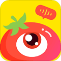 番茄派对app