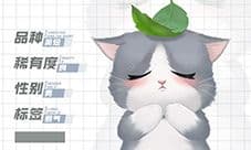 灵猫传英嘤嘤怎么样 灵猫属性攻略