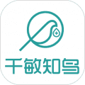 千敏知鸟app