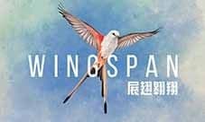 《展翅翱翔》评测:破开圈层体会平时关注不到的乐趣
