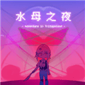 水母之夜