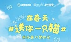 猫咪和汤×北京领养日×小米食堂 送你一只猫