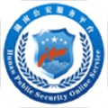 湖南公安交警公共服务平台app