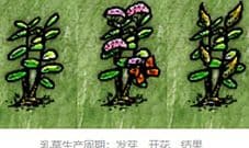 一小时人生绳子怎么做 制作方法详解