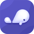 小京鱼app