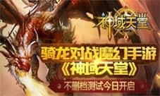 《神域天堂》骑龙对战魔幻手游 不删档测试今日开启