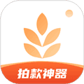 大麦相机app