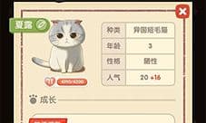 猫语咖啡夏露怎么样 技能介绍攻略