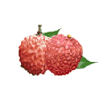 增城泊车app