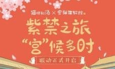 猫咪和汤×宫猫体验馆 奉旨撸猫主题店上线