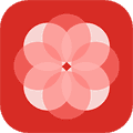 辅布司app