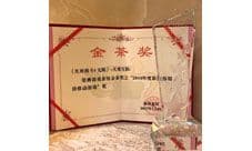 《生死格斗5 无限》获金茶奖“最值得期待手游奖”