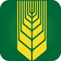 知谷APP