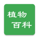 植物百科