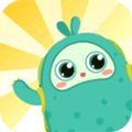 你拍一app