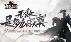无敌是多么寂寞《正统三国》竞技场告诉你
