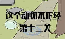 这个动物不正经第13关怎么过 第十三关图文攻略