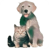 猫狗翻译官