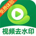 视频去除水印app