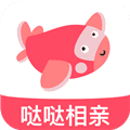 哒哒相亲安卓版