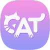 猫咪记单词