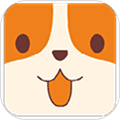 云小宠app