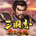 三国志霸王崛起官方下载_三国志霸王崛起最新版下载 v1.0手机版