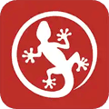 壁虎尾货app
