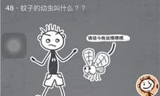 史小坑的烦恼3第48关怎么过 蚊子的幼虫叫什么
