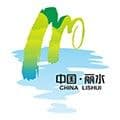 一机游丽水app