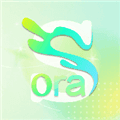 Sora视界app