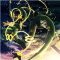 宝可梦格查尔8.2完美汉化版