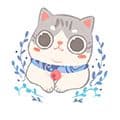 喵喵之家app