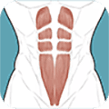 跟我练腹肌app