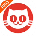 猫眼专业版app官方下载_猫眼专业版实时票房下载 v8.12.2安卓版