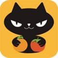 橙柿猫安卓版